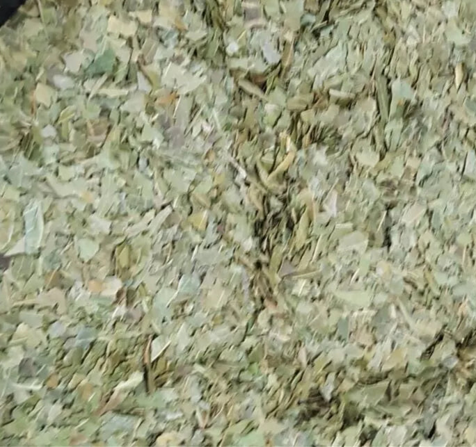 Organic Dried Neem Leaves