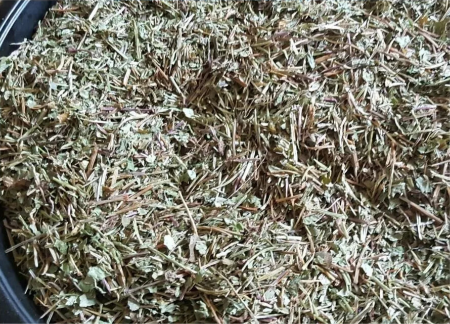 Organic Dried Gotu Kola Leaf