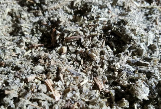 Organic Dried Mullein Leaf