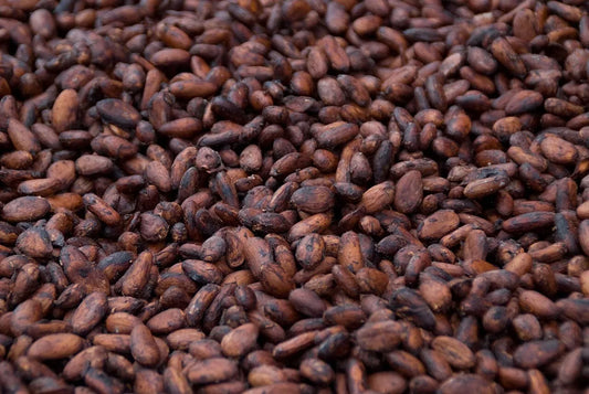 Organic cacao beans
