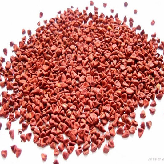Organic Dried Anntto Seeds