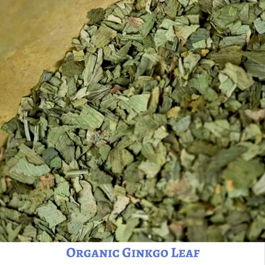 Organic Dried Ginkgo Leaf