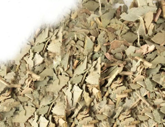 Organic Dried Eucalyptus Leaf