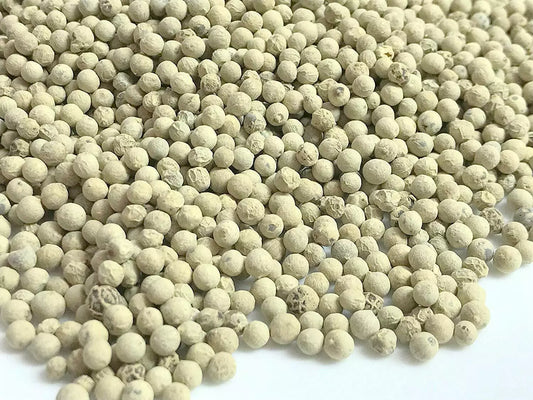 Organic White Peppercorns | Pepper Corns