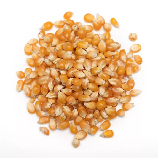 ORGANIC POPCORN KERNELS